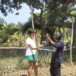 Belei